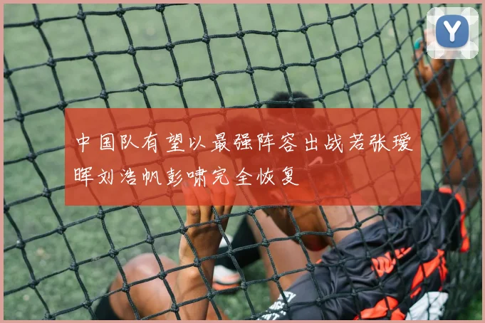 中国队有望以最强阵容出战若张瑷晖刘浩帆彭啸完全恢复